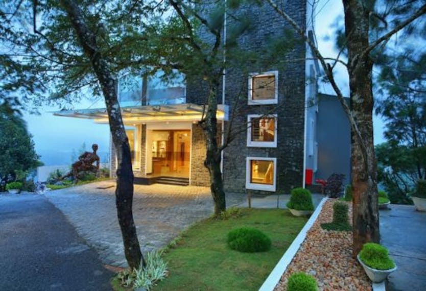 Chandys Windy Woods_2